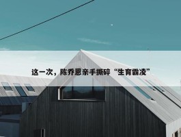 这一次，陈乔恩亲手撕碎“生育霸凌”