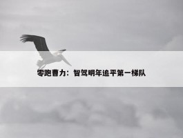 零跑曹力：智驾明年追平第一梯队