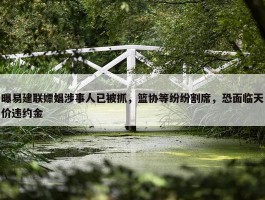 曝易建联嫖娼涉事人已被抓，篮协等纷纷割席，恐面临天价违约金