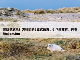 普拉多尴尬！方程豹豹8正式预售，6_7座都有，纯电续航125km