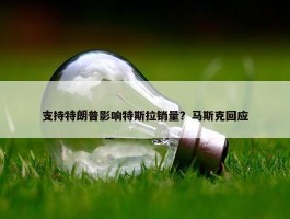 支持特朗普影响特斯拉销量？马斯克回应