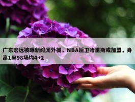 广东宏远被曝新绯闻外援，NBA后卫哈里斯或加盟，身高1米98场均4+2