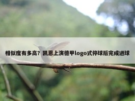 相似度有多高？凯恩上演德甲logo式停球后完成进球