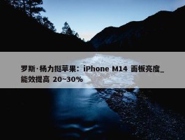 罗斯·杨力挺苹果：iPhone M14 面板亮度_能效提高 20~30%