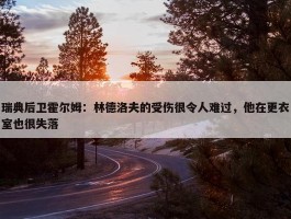 瑞典后卫霍尔姆：林德洛夫的受伤很令人难过，他在更衣室也很失落