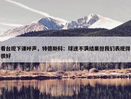 看台现下课呼声，特德斯科：球迷不满结果但我们表现得很好