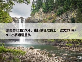 东契奇22投15分，独行侠轻取爵士！欧文23+6+9，小将遭遇重伤