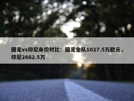 国足vs印尼身价对比：国足全队1027.5万欧元，印尼2662.5万