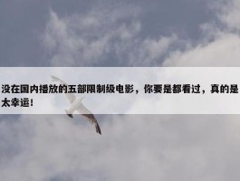 没在国内播放的五部限制级电影，你要是都看过，真的是太幸运！