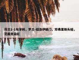 荷兰1-1匈牙利，罗兰-绍洛伊破门，邓弗里斯头槌，范戴克染红