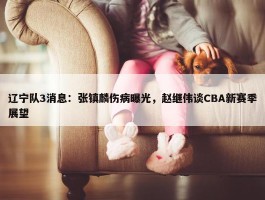 辽宁队3消息：张镇麟伤病曝光，赵继伟谈CBA新赛季展望