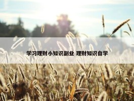 学习理财小知识副业 理财知识自学