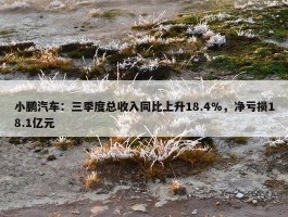 小鹏汽车：三季度总收入同比上升18.4%，净亏损18.1亿元