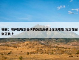 锡安：刚开始听到受伤的消息总是让你很难受 我正在回到正轨上