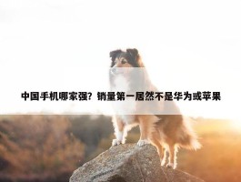 中国手机哪家强？销量第一居然不是华为或苹果