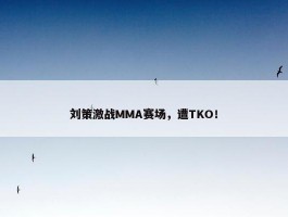 刘策激战MMA赛场，遭TKO！